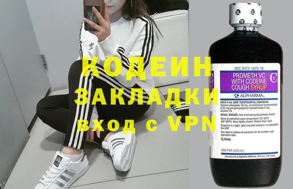 дживик Дегтярск