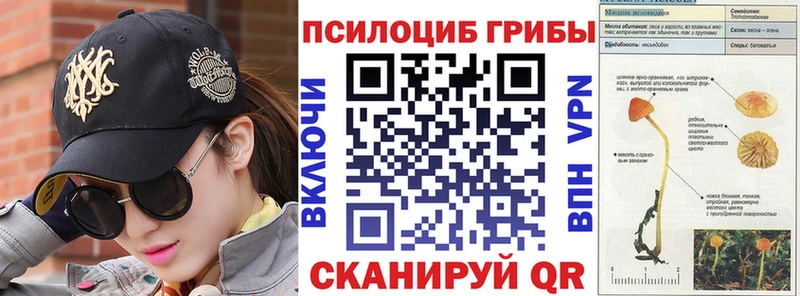 Псилоцибиновые грибы GOLDEN TEACHER  Вольск 