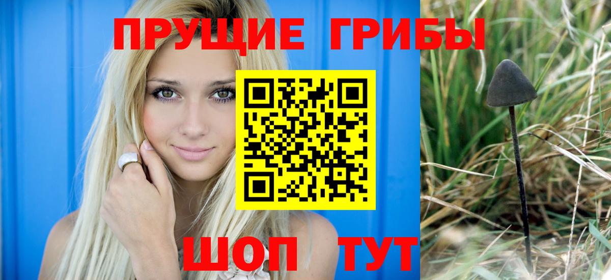 Галлюциногенные грибы мухоморы  Вход с VPN  Вольск 