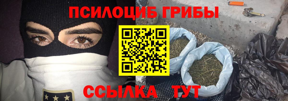 Псилоцибиновые грибы Psilocybe Вольск