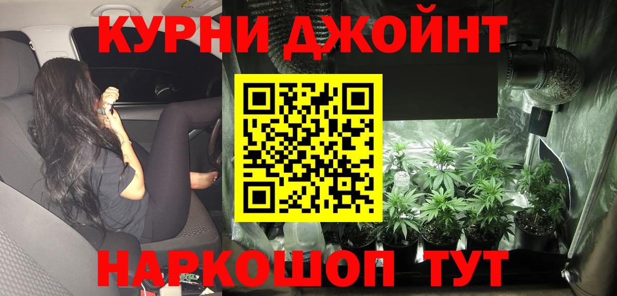 Каннабис ГИДРОПОН  Каннабис план  Вольск  Бошки Шишки OG Kush  Вход с VPN 